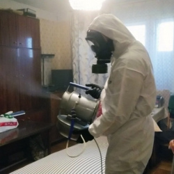 Дезинфекция от клопов в Светлогорске