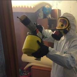Уничтожение клопов в квартире. Светлогорск
